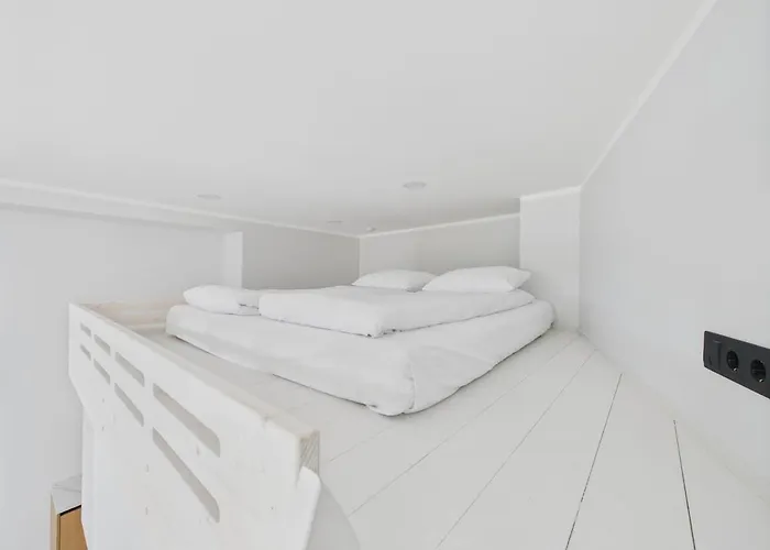 Dzīvoklis Modernist Loft In Old Town